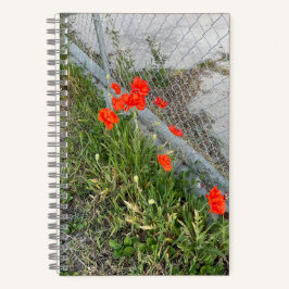 Orange Poppies Journal Notizbuch