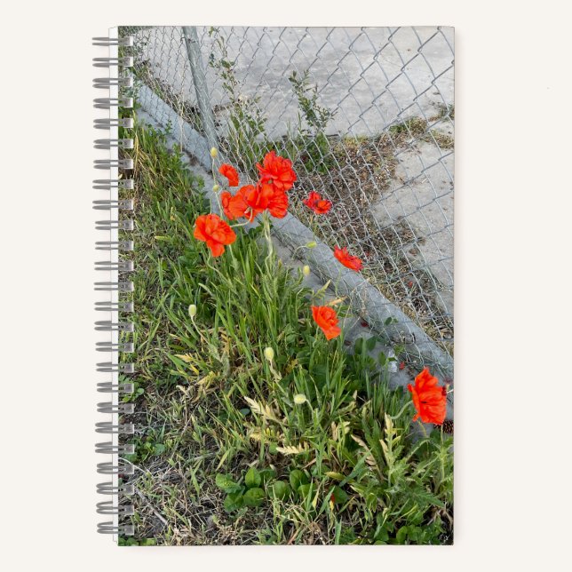 Orange Poppies Journal Notizbuch (Vorderseite)
