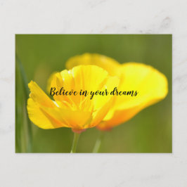 Orange Poppies Postkarte