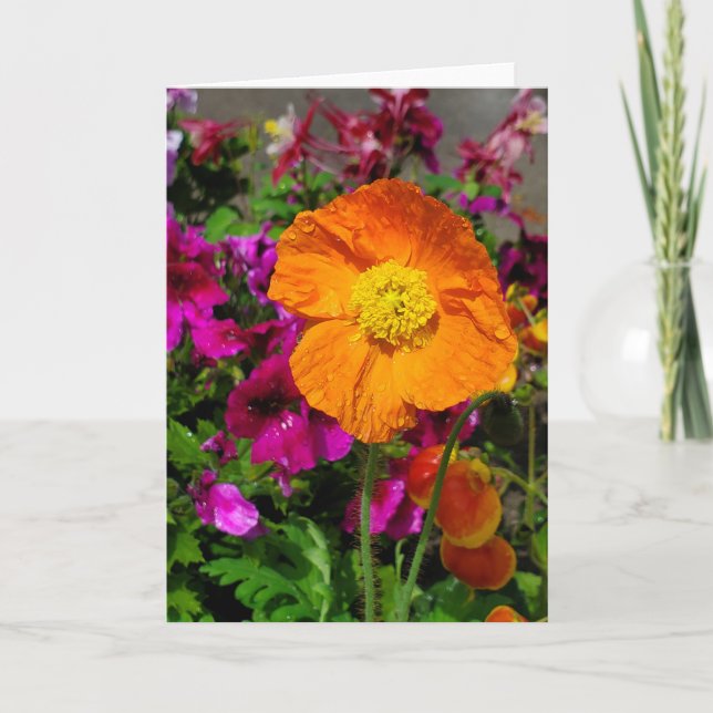 Orange Poppy Card Karte (Vorderseite)