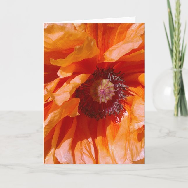 Orange Poppy Card Karte (Vorderseite)
