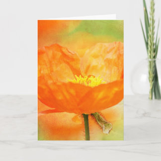 Orange Poppy Karte