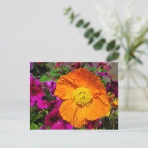 Orange Poppy Postkarte