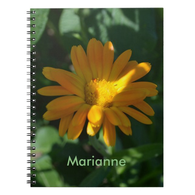 Orange Pot Marigold Blume Personalisiert Notizblock (Vorderseite)