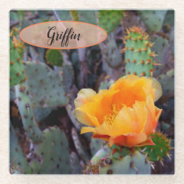 Orange Prickly Pear Opuntia Cactus Blume Foto Glasuntersetzer