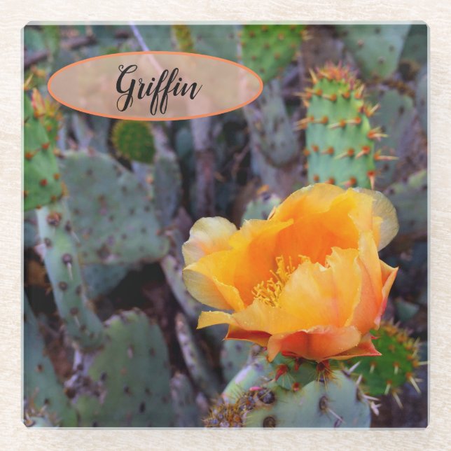 Orange Prickly Pear Opuntia Cactus Blume Foto Glasuntersetzer (Vorderseite)