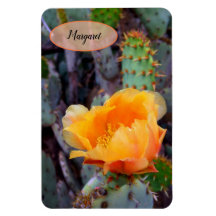 Orange Prickly Pear Opuntia Cactus Blume Foto