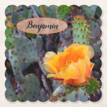 Orange Prickly Pear Opuntia Cactus Blume Foto