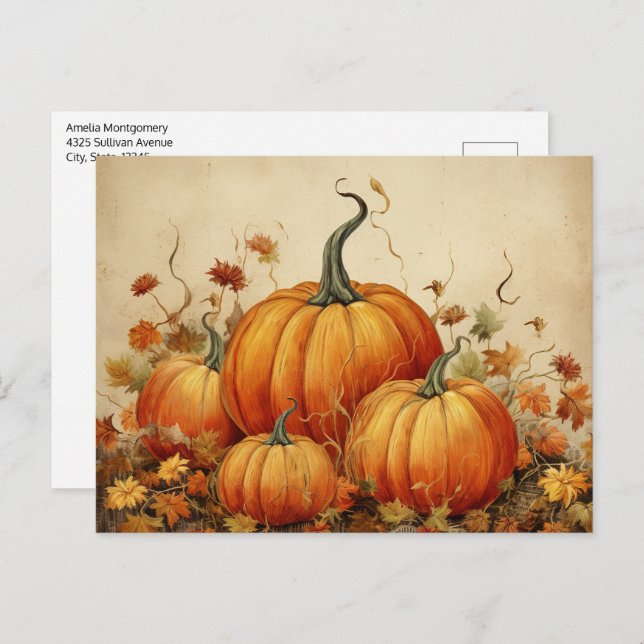 Orange Pumpkins Rustikaler Herbst Postkarte (Vorne/Hinten)