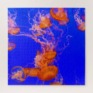 Orange Quallen-Puzzle Blaues Ozean-Meeresleben Puzzle