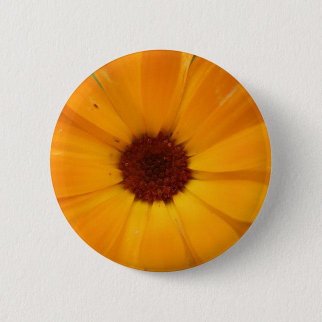 Orange Rain Daisy Button (Vorderseite)
