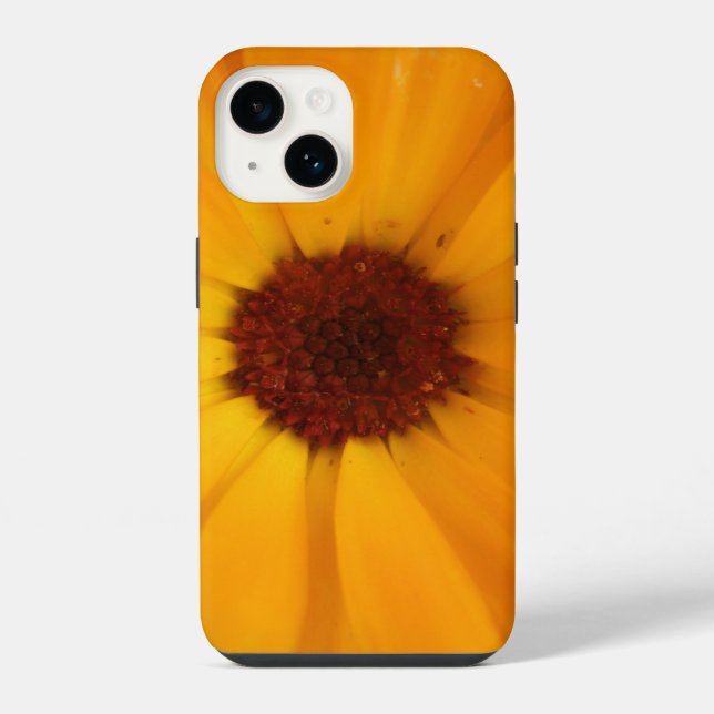 Orange Rain Daisy iPhone 5 Hülle (Rückseite)