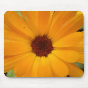 Orange Rain Daisy Mousepad