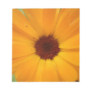 Orange Rain Daisy Notepad Notizblock