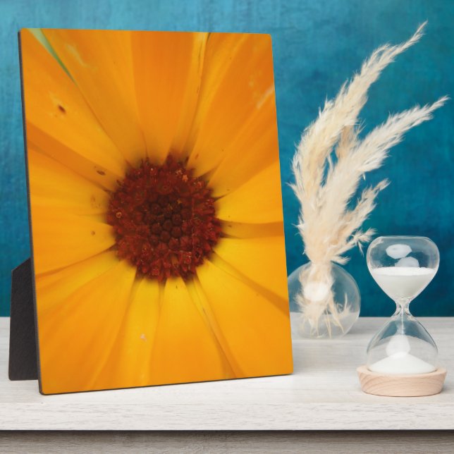 Orange Rain Daisy Plaque Fotoplatte (Seite)