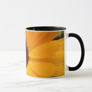 Orange Rain Daisy Tasse