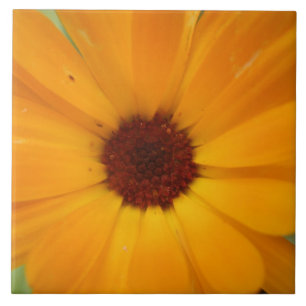 Orange Rain Daisy Tile Fliese
