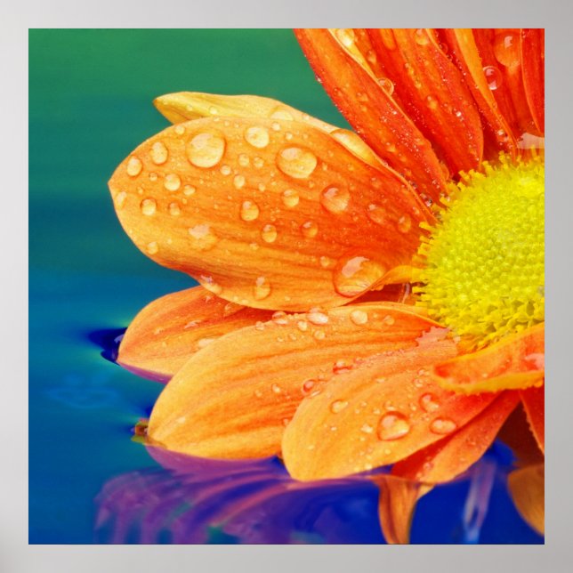 Orange Raindrops Fotoposter Poster (Vorne)