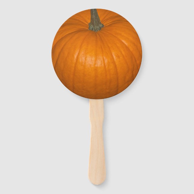 Orange Realistic Pumpkin Fotografie Fächer (Vorderseite)