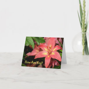 "ORANGE-RED AND YELLOW DAY LILY" KARTE