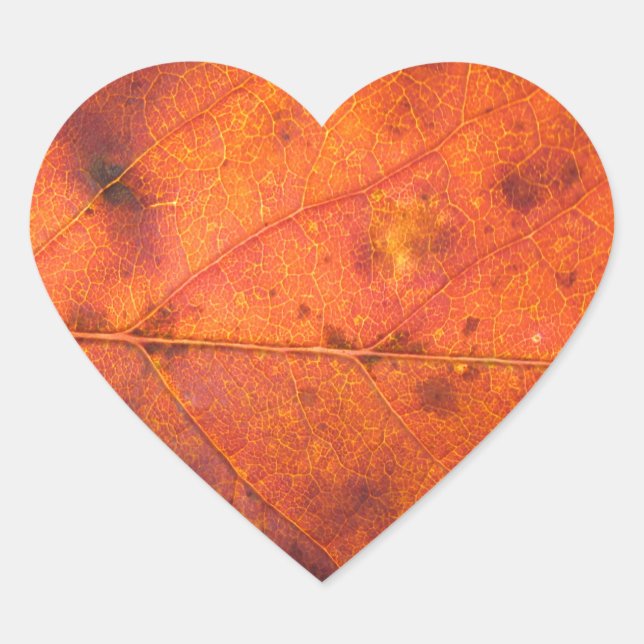 Orange-Red Autumn Leaf Foto Stickers (Vorderseite)