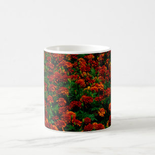 Orange Red Blume Landschaft Kaffeetasse