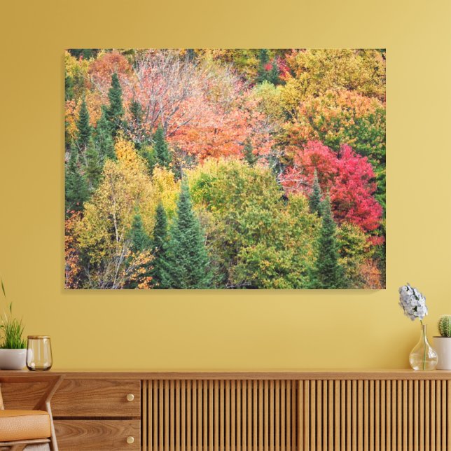 Orange Red Bush Leinwanddruck (Insitu (Wohnzimmer))