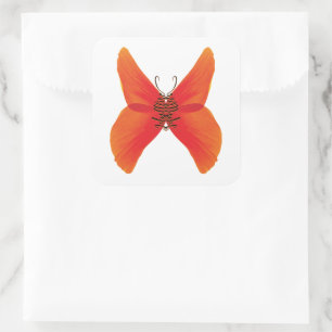 Orange Red Poppy Butterfly mit Ihrem Namen Quadratischer Aufkleber