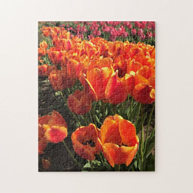 Orange & Red Tulips Puzzle (Vertikal)