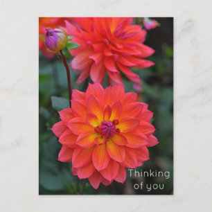 Orange Red Yellow Dahlia Blume Denken Sie an Sie Feiertagspostkarte