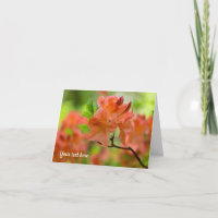 Orange Rhododendron Grußkarte