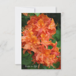 Orange Rhododendron Mitteilungskarte
