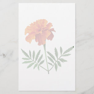Orange Ringelblume Briefpapier