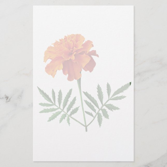 Orange Ringelblume Briefpapier (Vorderseite)
