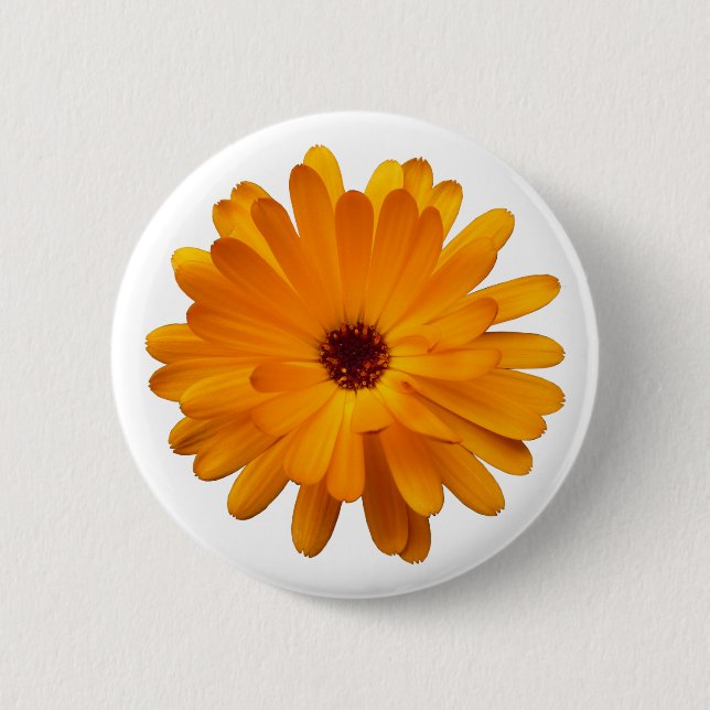 Orange Ringelblume Button (Vorderseite)