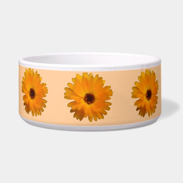 Orange Ringelblumen-Hundeschüssel Napf (Vorderseite)