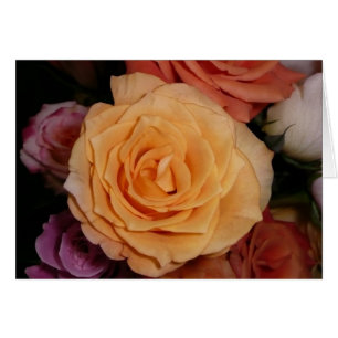 Orange Rose