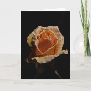 Orange Rose 1 Karte