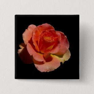 Orange Rose 2 Button