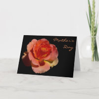 Orange Rose 2 Muttertag