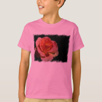 Orange Rose 2