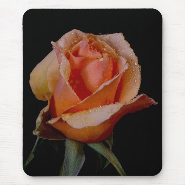 Orange Rose 3 Mousepad (Vorne)