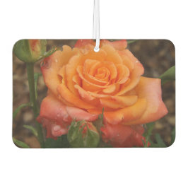 Orange Rose Air Freshener Autolufterfrischer