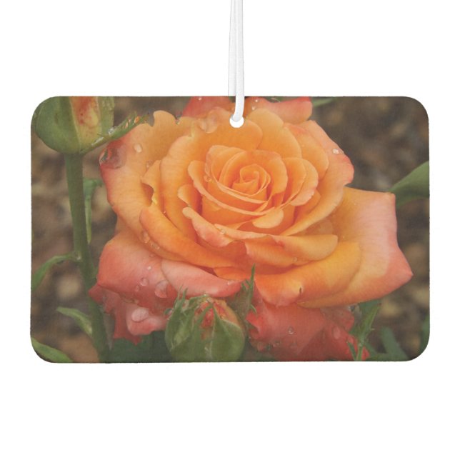Orange Rose Air Freshener Autolufterfrischer (Vorderseite)