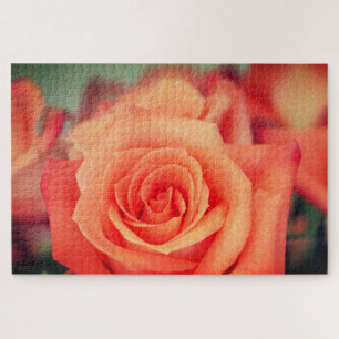 Orange Rose blüht Puzzle