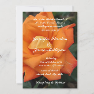 Orange Rose Blume Einladung