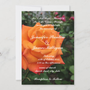 Orange Rose Blume Einladung