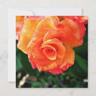 Orange Rose Blume Feiertagskarte