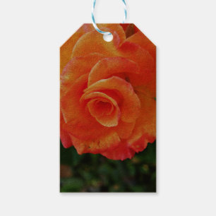 Orange Rose Blume Geschenkanhänger