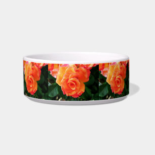Orange Rose Blume Napf